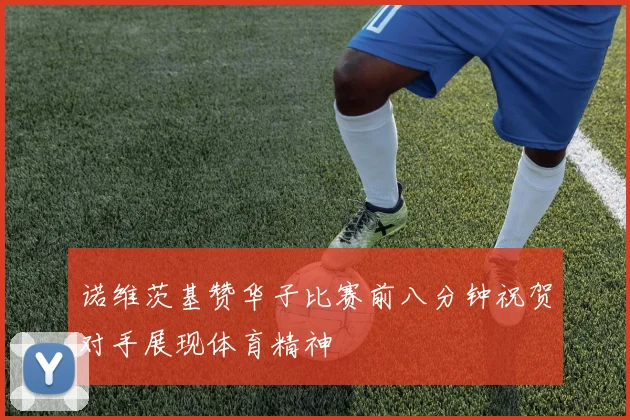 诺维茨基赞华子比赛前八分钟祝贺对手展现体育精神